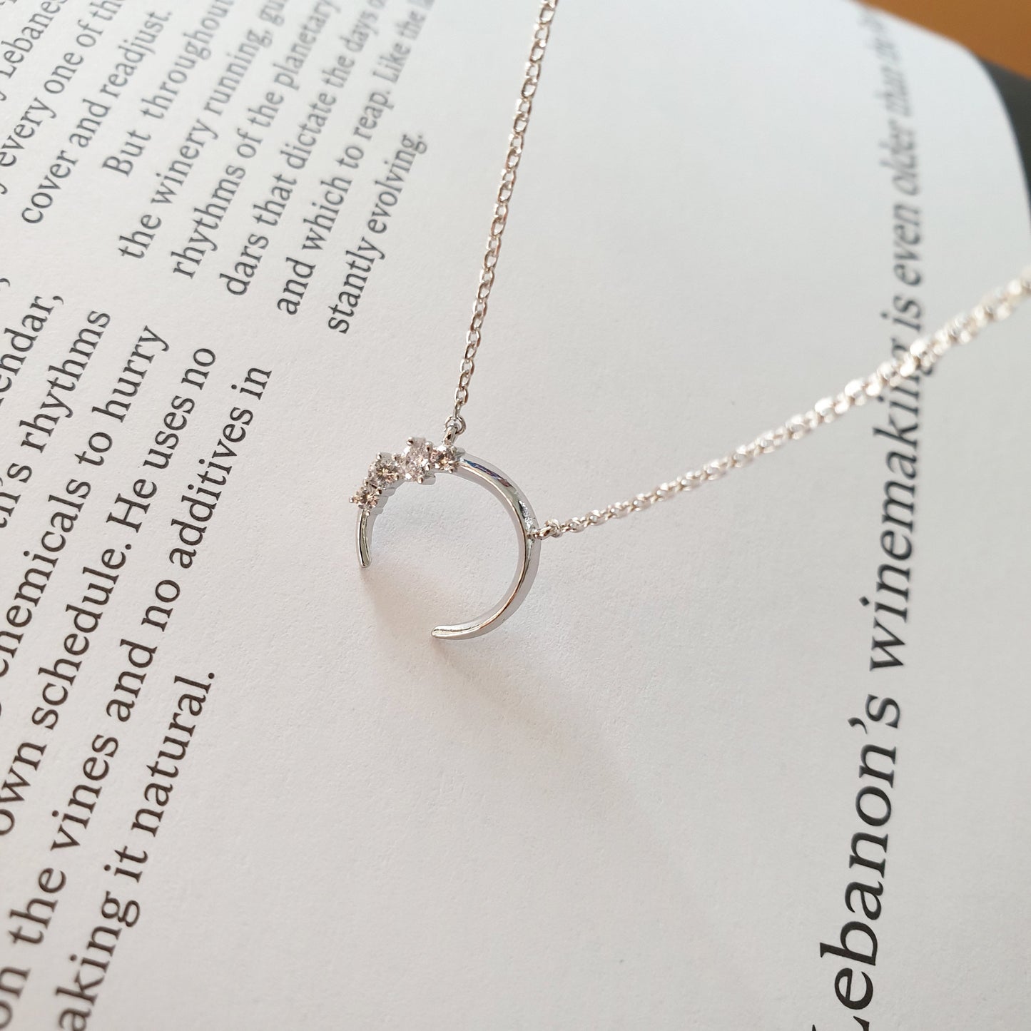 Crescent Moon Horn Cubic Zirconia Charm Necklace