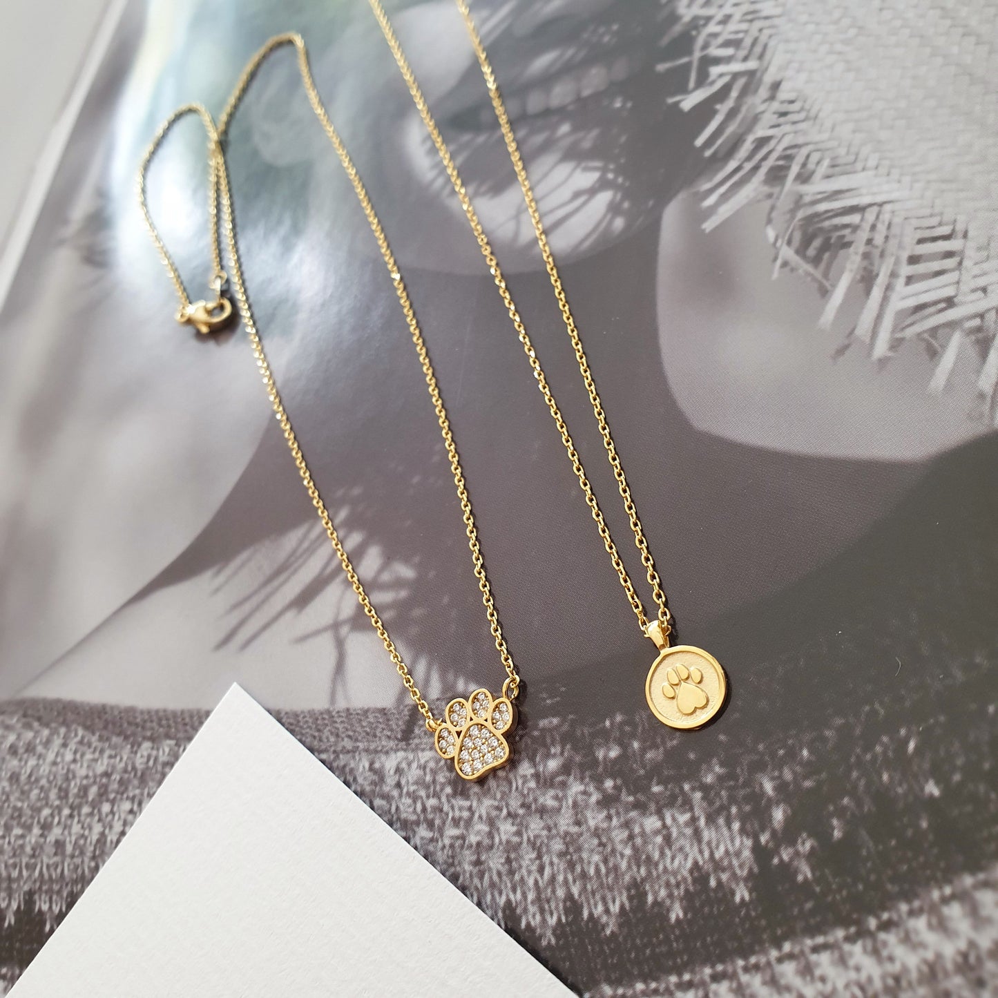 Dog Paw Coin Cubic Zirconia Necklace