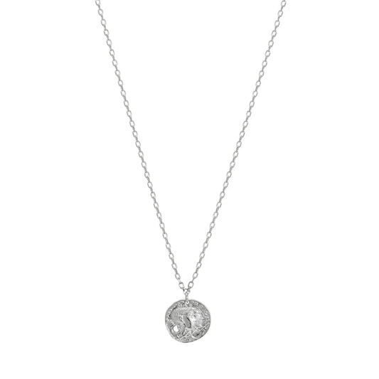 Medallion Irregular Punch Coin Disc Necklace