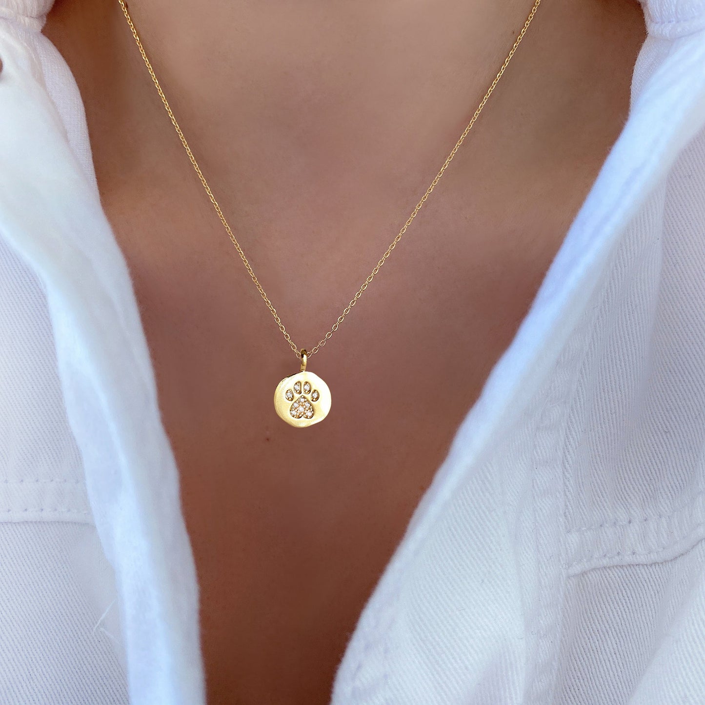 Dog Paw CZ Disc Coin Pendant Necklace
