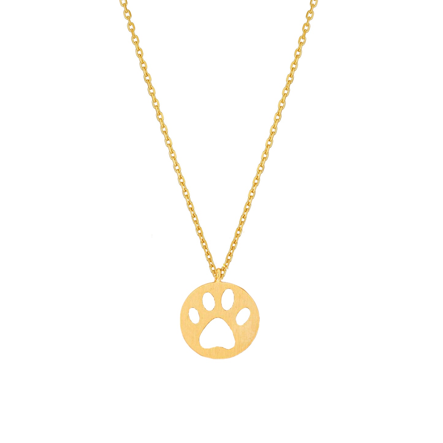 Dog Paw Hollow Coin Necklace