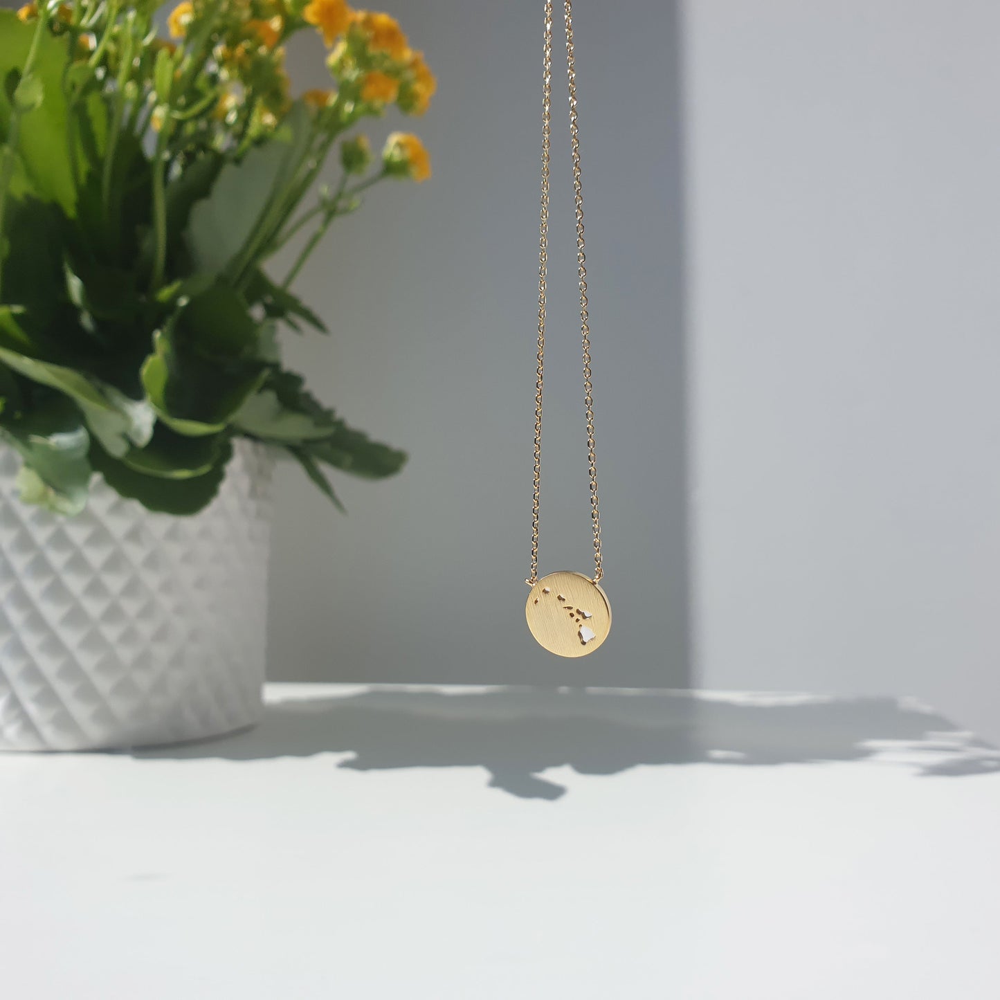 Hawaii Island Map Coin Two Tone Necklace