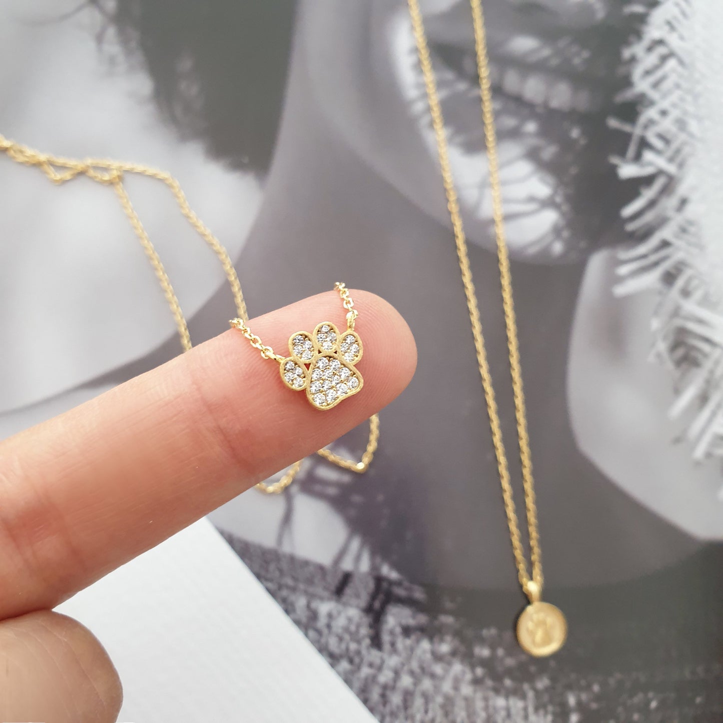 Dog Paw Coin Cubic Zirconia Necklace