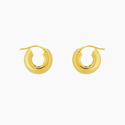 Round Bold Thick Small Hoops Earrings