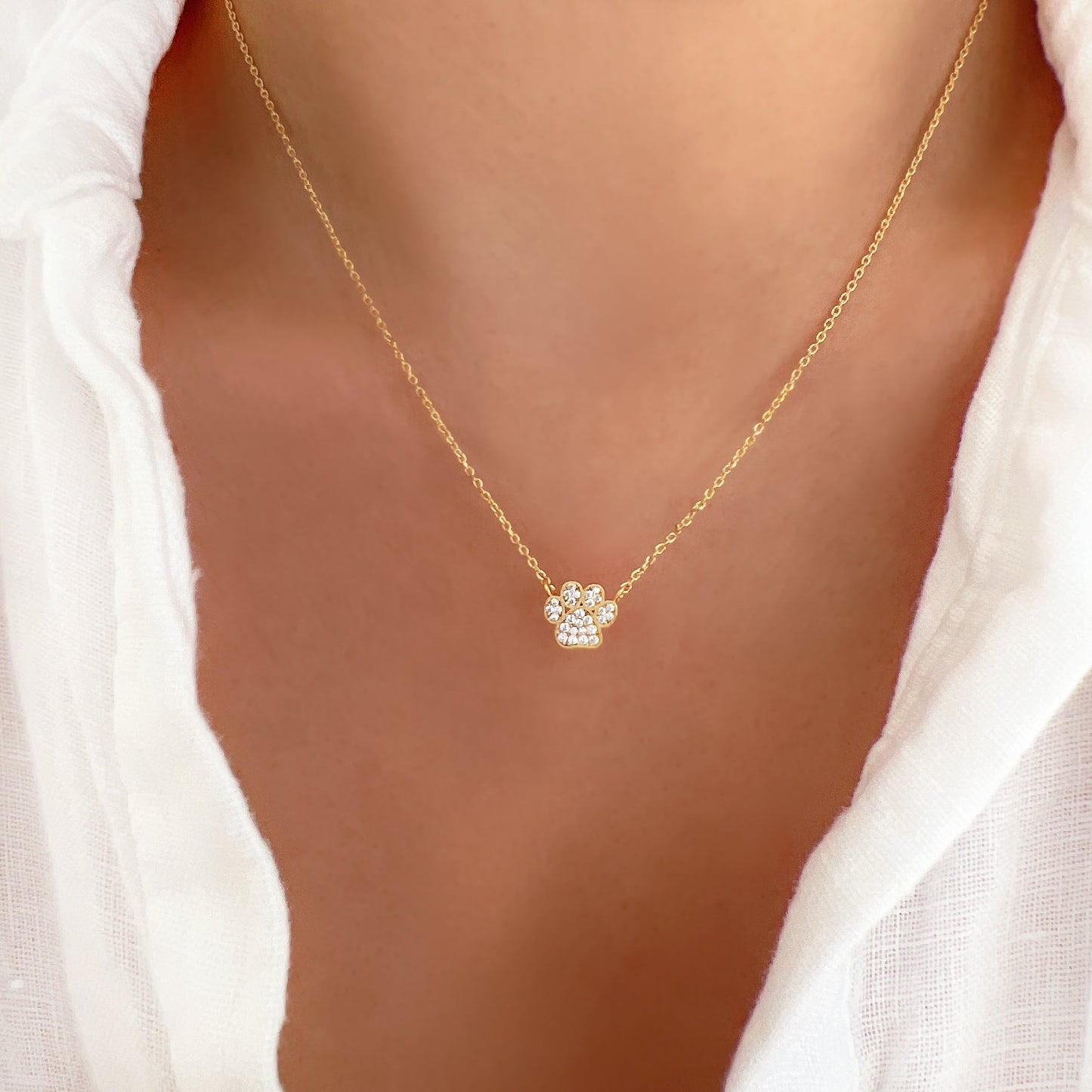 Dog Paw Coin Cubic Zirconia Necklace