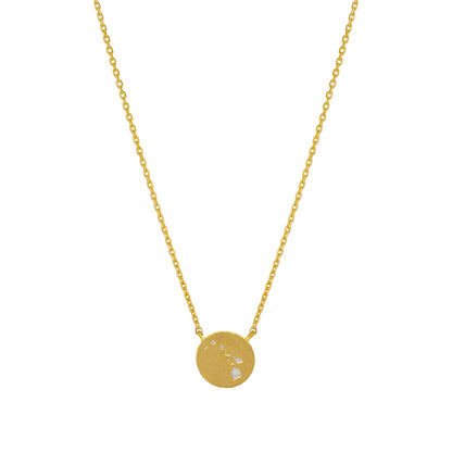 Hawaii Island Map Coin Two Tone Necklace
