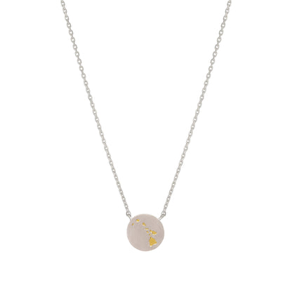 Hawaii Island Map Coin Two Tone Necklace