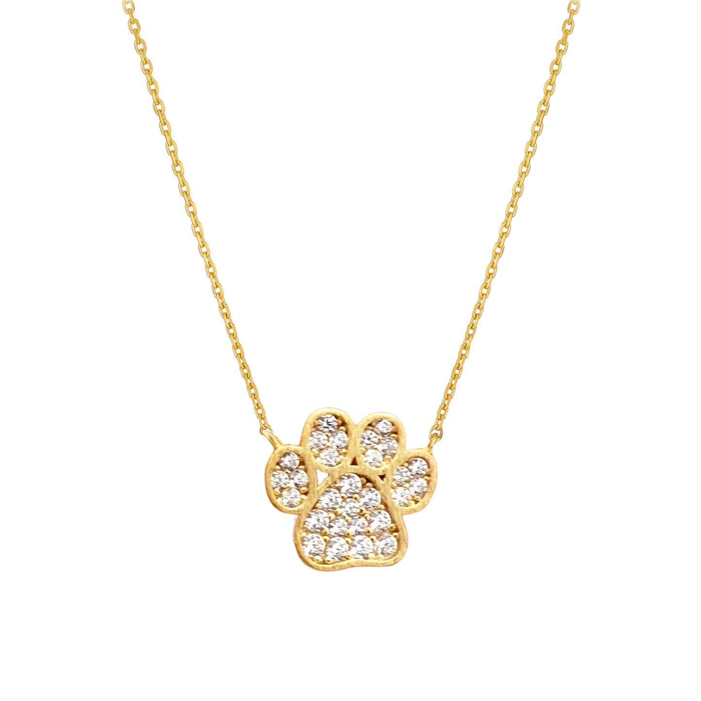 Dog Paw Coin Cubic Zirconia Necklace