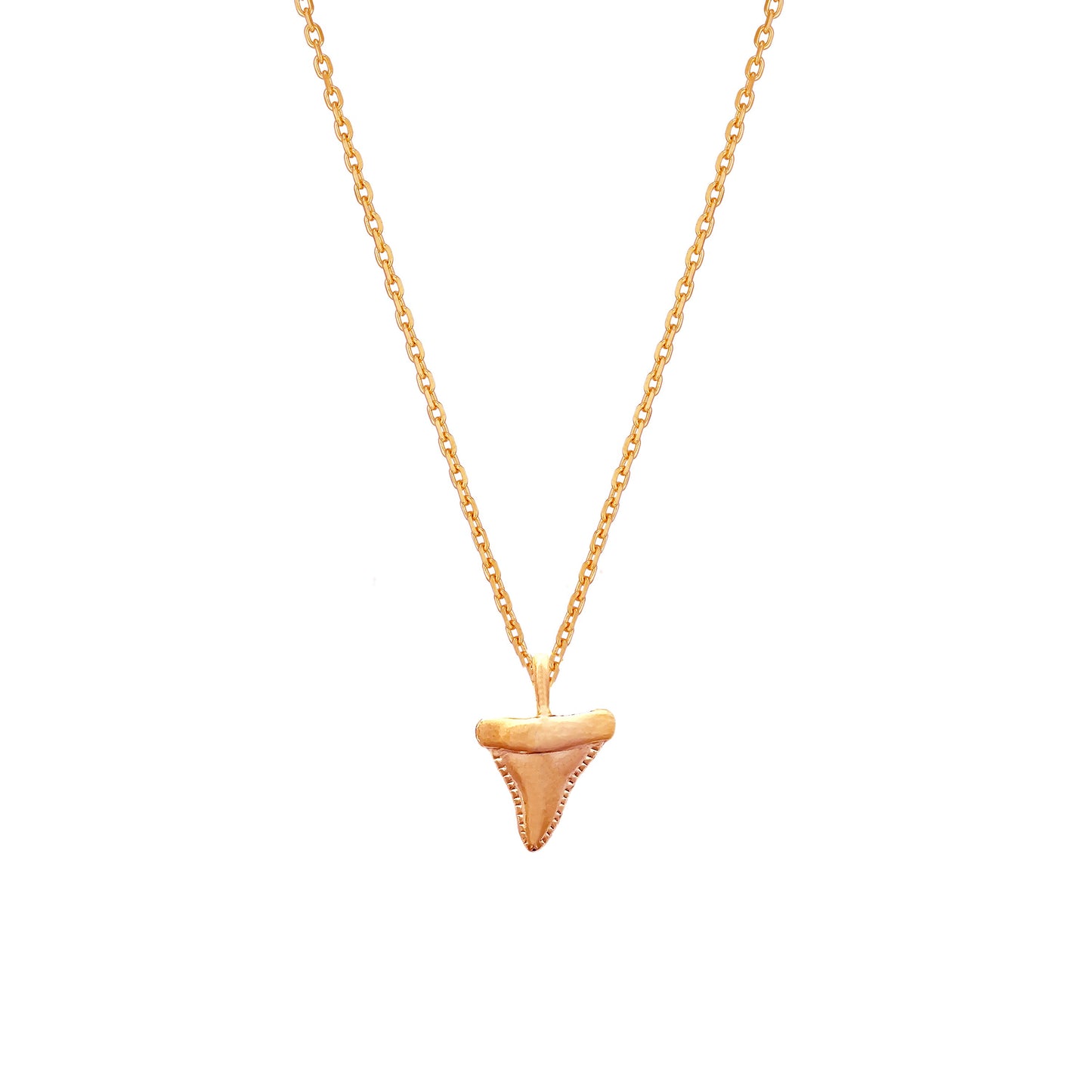 Shark Tooth Shape Pendant Necklace 18K Gold Dipped
